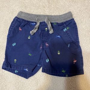 Baby boys shorts